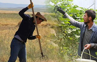 Tarımda Gençlik Alarmı: Kırsala Dönüş İçin...