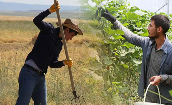 Tarımda Gençlik Alarmı: Kırsala Dönüş İçin "Tersine Göç" Hamlesi Başlıyor